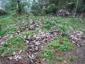 Northeast of Point 268