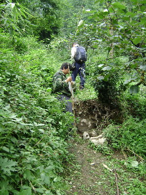 Northeast of Point 619008