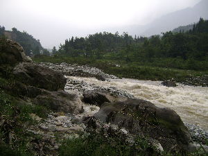 Northeast of Point 619009