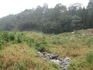 Looking southwest from Point 981