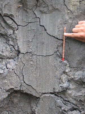 Point 193 close-up view 1