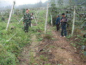 Point 617001