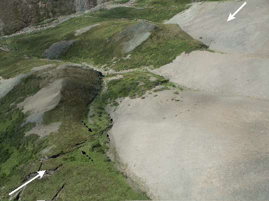 Field photo: DS-503ARW.jpg