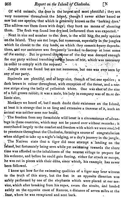 Halsted Report Relevant Page
