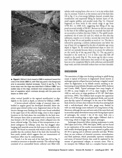 Page 6 of 9