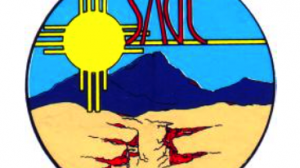 Summer of Applied Geophysical Experience (SAGE)