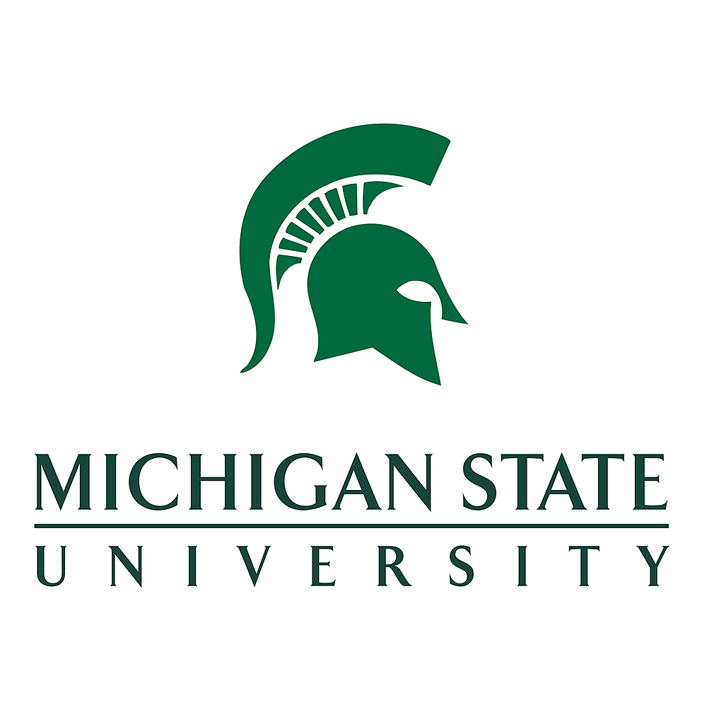 Image result for msu logo