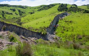 Kaikoura fault