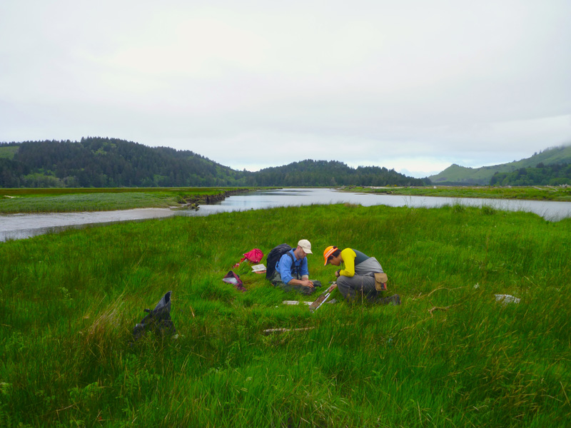 Salmon River coring