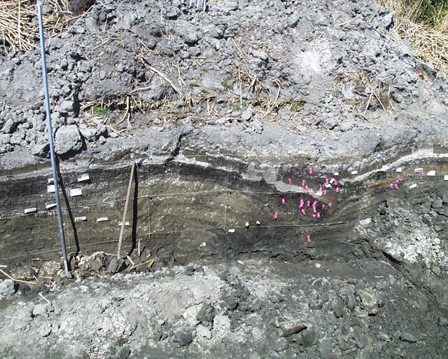 trenching on San Jacinto fault