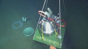 Axial Seamount ocean bottom seismometer