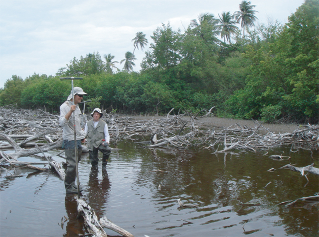 puerto rico pond with researchers using coring tool