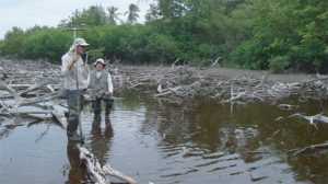 puerto rico pond with researchers using coring tool