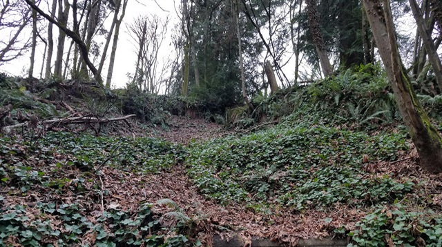 Puget Lowland landslide