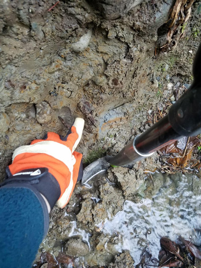 wood samples stuck in mud of Puget Lowland landslide