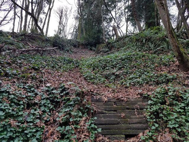 photo of young landslide in Puget Lowland