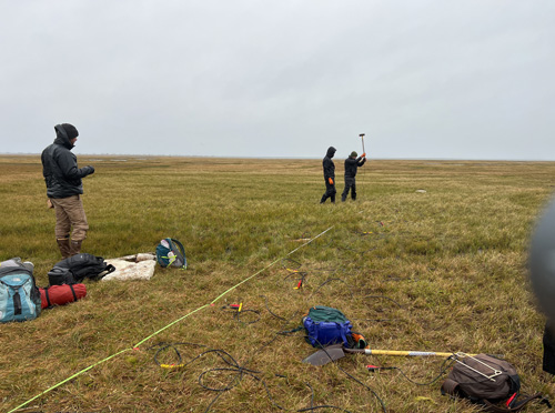 An array of 24 geophones was deployed to image near-surface permafrost by recording waves generated by a sledgehammer source.