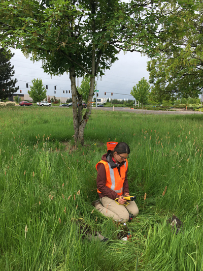 Erin Wirth deploying nodal seismometer 