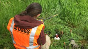 Erin Wirth deploying nodal seismometer in Oregon