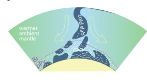 Schematic of deep mantle anisotropy and deformation (legend) induced by a sinking slab (blue), leading to crystal alignment (white sticks), also called crystallographic preferred orientation (CPO). A potential post-perovskite layer is shown by a dashed purple line.
