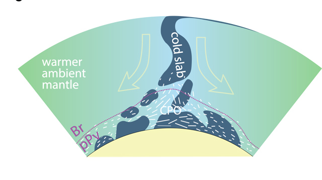 Schematic of deep mantle anisotropy and deformation (legend) induced by a sinking slab (blue), leading to crystal alignment (white sticks), also called crystallographic preferred orientation (CPO). A potential post-perovskite layer is shown by a dashed purple line.